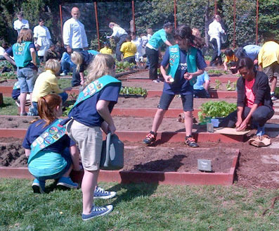 2012_0326_garden4