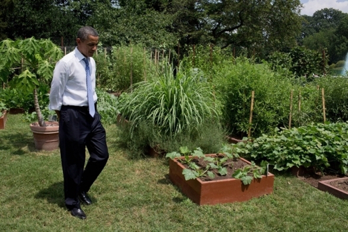 2012_0803_ObamaGarden