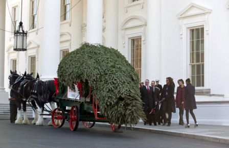 2013_1203_WHChristmasTree