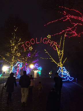 2013_1211_Zoolights