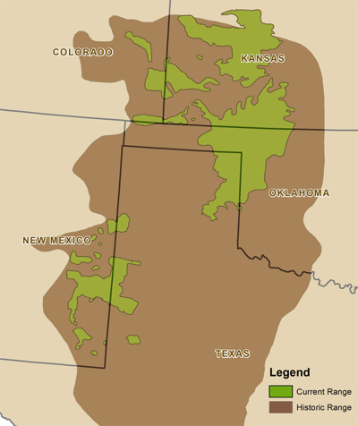 LesserPrairieChickenRange