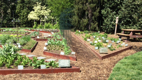 2014_0428_WHgarden01