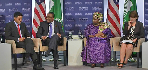 2014_0804_AfricanSummit