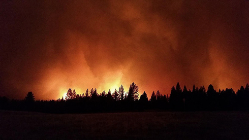 2015_0828_GrizzlyBearFire