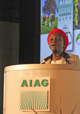 2015_1002_AIAG_Nguleka